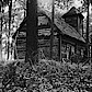 Blockhütte im Wald von Sigurdshof bei Wendisch-Tychow in Hinterpommern