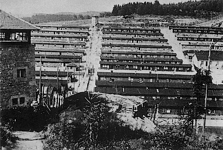 Konzentrationslager Flossenbürg, Verwaltungs- und Häftlingsbereich